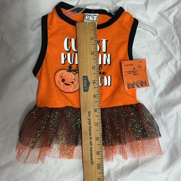 Cutest pumpkin in the patch outfit - Picture 6 of 6